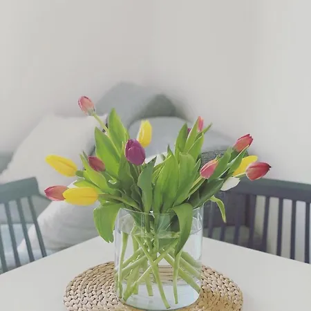 Apartment Cioccis Boutique *