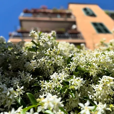 Apartment Cioccis Boutique Rome