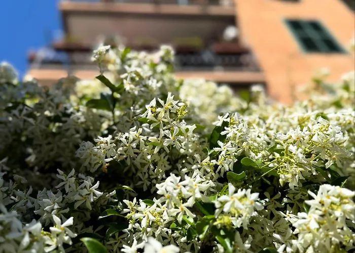 Apartment Cioccis Boutique Rome